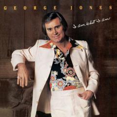 He Stopped Loving Her Today von George Jones (Download) 