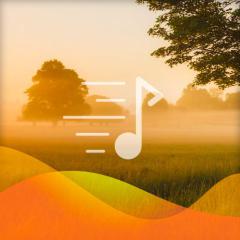 Down By The Station (Download) 