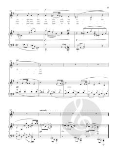 Zigeunermelodien op. 55 von Antonín Dvorák 