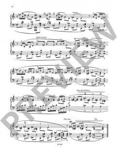 Klavierwerke Band 3 von Erik Satie im Alle Noten Shop kaufen