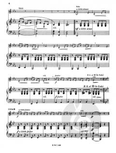 The Young Virtuoso von Clifford P. Barnes 