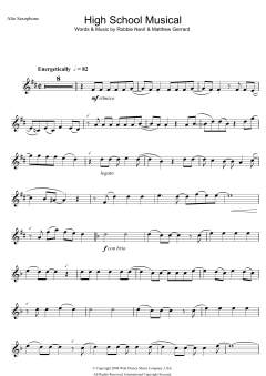 High School Musical von Robbie Nevil (Download) 