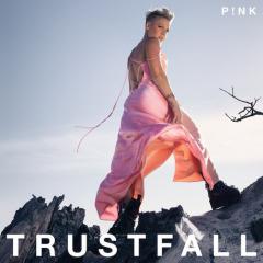 When I Get There von Pink (Download) 