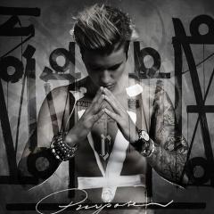 Purpose (Download) 