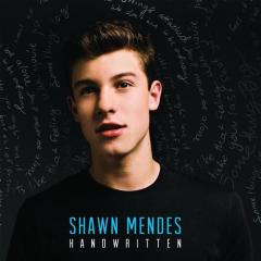 Stitches (Download) 