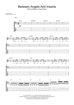 Between Angels And Insects (Download) 