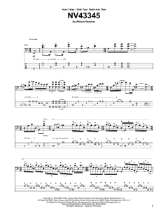 NV43345 von Billy Sheehan (Download) 