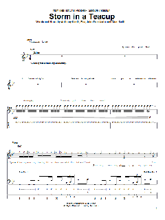 Storm In A Teacup von Red Hot Chili Peppers (Download) 