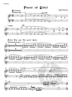 Pieces of Eight von Mark Tanner 