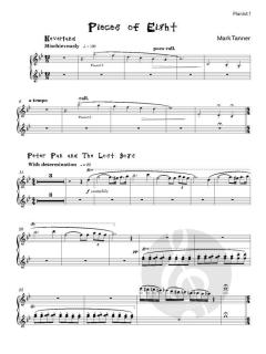Pieces of Eight von Mark Tanner 