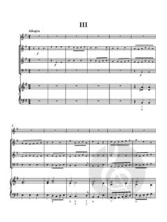 Flute Concerto No. 9 in E minor von Robert Woodcock 