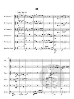 Sinfonietta von Mary Chandler 