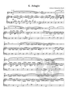 Useful Flute Solos 2 von Graham Lyons 