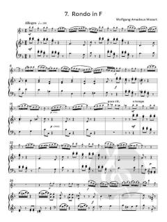 Useful Flute Solos 2 von Graham Lyons 
