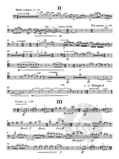 Concerto for Brass von Mark Goddard 