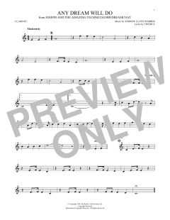 Any Dream Will Do von Tim Rice (Download) 