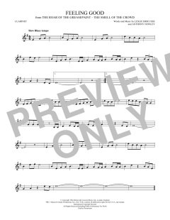 Feeling Good von Nina Simone (Download) 