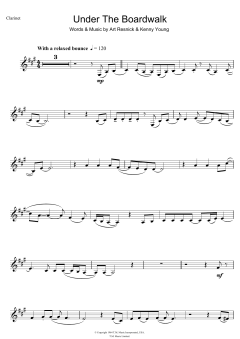 Under The Boardwalk von The Drifters (Download) 