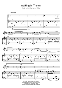 Walking In The Air von Howard Blake (Download) 