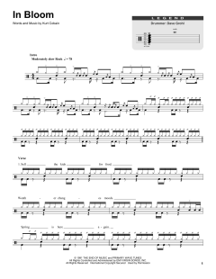 In Bloom von Nirvana (Download) 