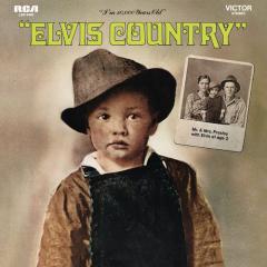 I Really Don't Want To Know von Elvis Presley (Download) 