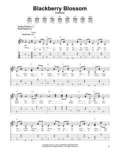 Blackberry Blossom (Download) 