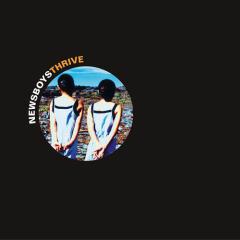 Million Pieces von Newsboys (Download) 