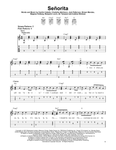 SeÃ±orita von Ben Levin (Download) 
