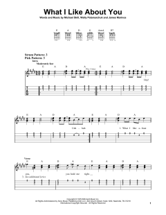 What I Like About You von The Romantics (Download) 