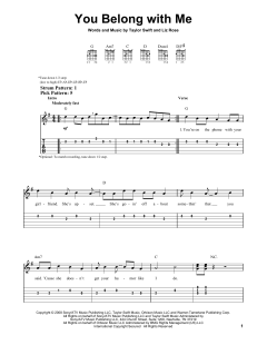 You Belong With Me von Taylor Swift (Download) 