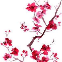 Sakura (Download) 