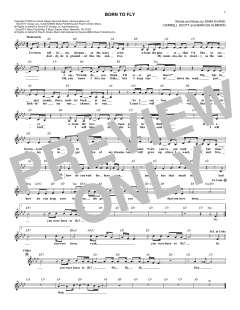 Born To Fly von Sara Evans (Download) 