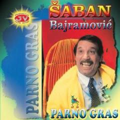 Djelem, Djelem von Saban Bajramovic (Download) 