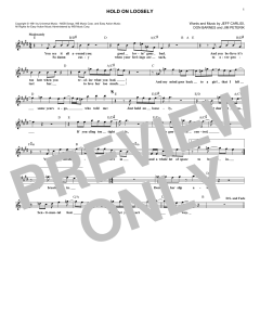 Hold On Loosely von 38 Special (Download) 