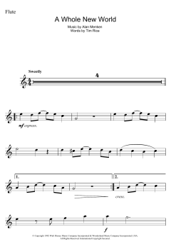A Whole New World von Tim Rice (Download) 