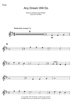 Any Dream Will Do von Andrew Lloyd Webber (Download) 