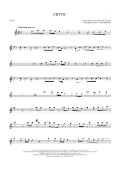 Cryin' von Aerosmith (Download) 