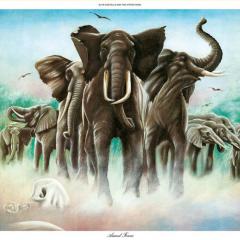 Oliver's Army von Elvis Costello (Download) 