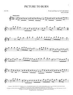 Picture To Burn von Taylor Swift (Download) 