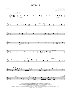 Skyfall von Adele (Download) 