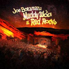 Stuff You Gotta Watch von Muddy Waters (Download) 