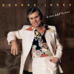 He Stopped Loving Her Today von George Jones (Download) 