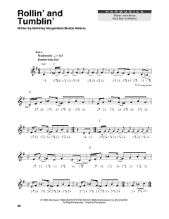 Rollin' And Tumblin' von Muddy Waters (Download) 
