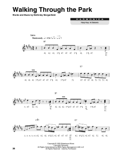 Walking Through The Park von Muddy Waters (Download) 