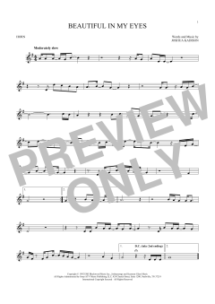 Beautiful In My Eyes von Joshua Kadison (Download) 
