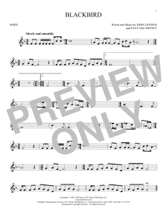 Blackbird von Wings (Download) 