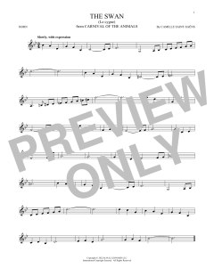 The Swan (Download) 