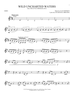 Wild Uncharted Waters von Halle Bailey (Download) 