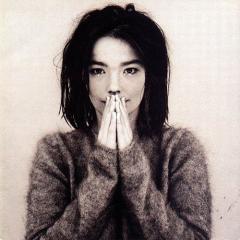 The Anchor Song von Björk (Download) 