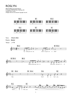 Roslyn von Bon Iver (Download) 